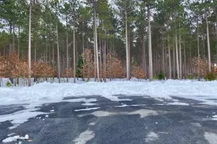 Lot 28 19th, Friendship, WI 53934 - Photo 1