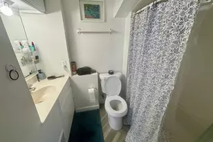 1043 Jenifer St, Madison, WI 53703 - Photo 10