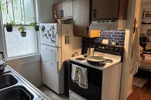 1043 Jenifer St, Madison, WI 53703 - Photo 6