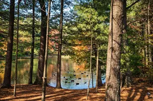 237 Oakbrook Dr, Wisconsin Dells, WI 53965 - Photo 76