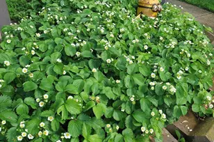 518 Church St, Wisconsin Dells, WI 53965 - Photo 38