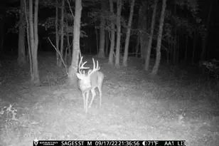 2423 9th Dr, Adams, WI 53910 - Photo 32