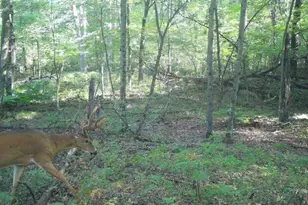 2423 9th Dr, Adams, WI 53910 - Photo 36