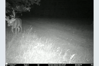 2423 9th Drive, Adams, WI 53910 - Photo 34