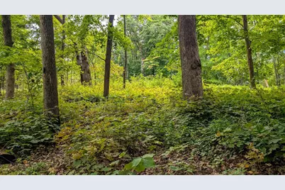 2222 County Road Y, Ridgeville, WI 53533 - Photo 6