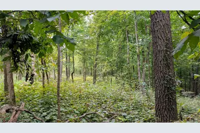 2222 County Road Y, Ridgeville, WI 53533 - Photo 10