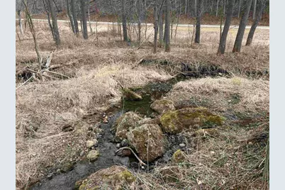 18050 Patch Hill Drive, Viola, WI 54664 - Photo 6