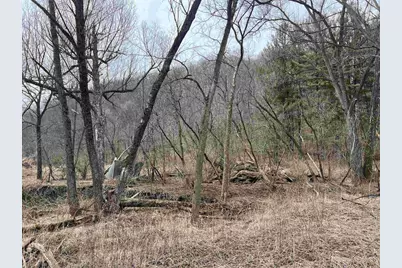 18050 Patch Hill Drive, Viola, WI 54664 - Photo 32