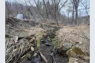 18050 Patch Hill Drive, Viola, WI 54664 - Photo 8