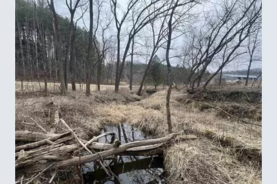 18050 Patch Hill Drive, Viola, WI 54664 - Photo 12