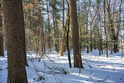 W8429 County Road C, New Lisbon, WI 53950 - Photo 14