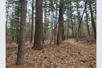 W8429 County Road C, New Lisbon, WI 53950 - Photo 26