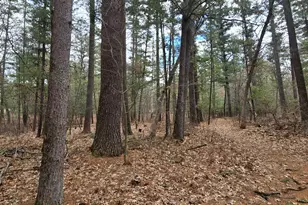 W8429 County Rd C, New Lisbon, WI 53950 - Photo 26