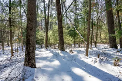 3.2 Acres County Road C, New Lisbon, WI 53950 - Photo 6