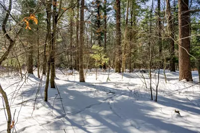 3.2 Acres County Road C, New Lisbon, WI 53950 - Photo 20