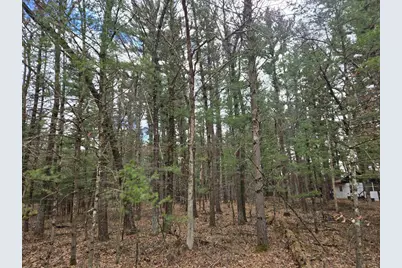 3.2 Acres County Road C, New Lisbon, WI 53950 - Photo 28