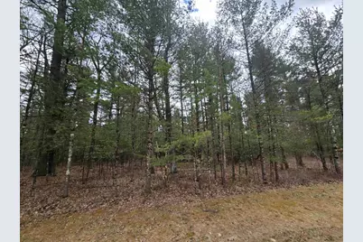 3.2 Acres County Road C, New Lisbon, WI 53950 - Photo 30