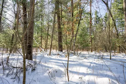 3.2 Acres County Road C, New Lisbon, WI 53950 - Photo 16