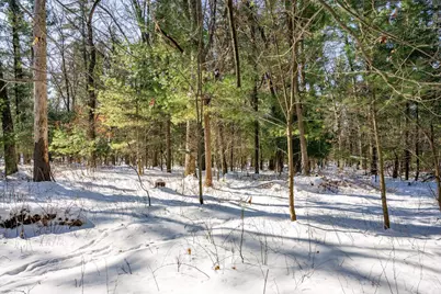 3.2 Acres County Road C, New Lisbon, WI 53950 - Photo 14