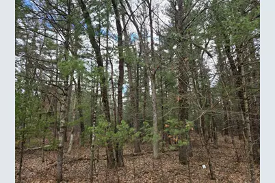 3.2 Acres County Road C, New Lisbon, WI 53950 - Photo 26