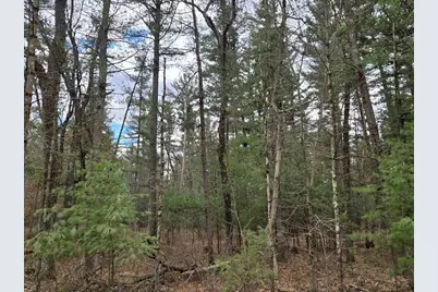 3.2 Acres County Road C, New Lisbon, WI 53950 - Photo 24