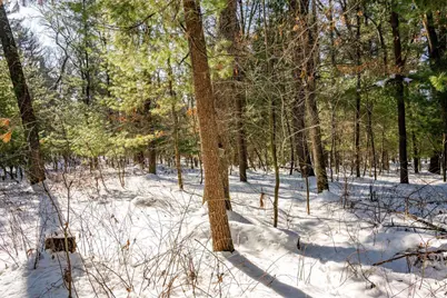 3.2 Acres County Road C, New Lisbon, WI 53950 - Photo 8