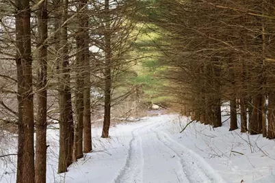 Tbd Wheat Hollow Road, Cazenovia, WI 53924 - Photo 28