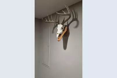 Tbd Wheat Hollow Road, Cazenovia, WI 53924 - Photo 48