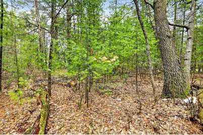 5 Ac Kl Townline Road, Mauston, WI 53948 - Photo 8