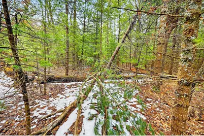 5 Ac Kl Townline Road, Mauston, WI 53948 - Photo 14