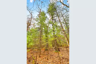 5 Ac Kl Townline Road, Mauston, WI 53948 - Photo 16