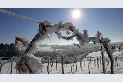 S3424 Peterson Lane, Viroqua, WI 54665 - Photo 90