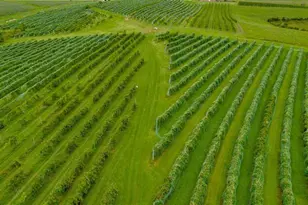 S3424 Peterson Ln, Viroqua, WI 54665 - Photo 26