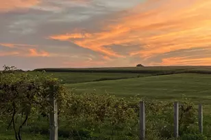 S3424 Peterson Ln, Viroqua, WI 54665 - Photo 88