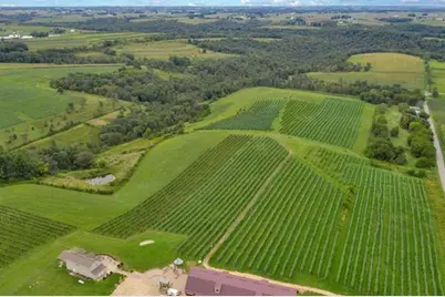 S3424 Peterson Lane, Viroqua, WI 54665 - Photo 28