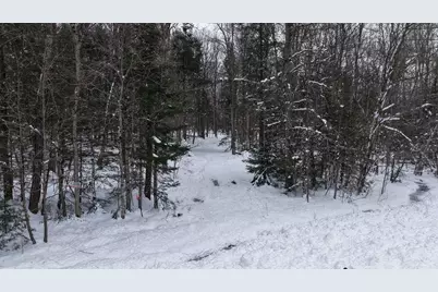 43+/- Ac County Rd Ff Acres, Merrill, WI 54452 - Photo 4