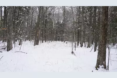 43+/- Ac County Rd Ff Acres, Merrill, WI 54452 - Photo 6