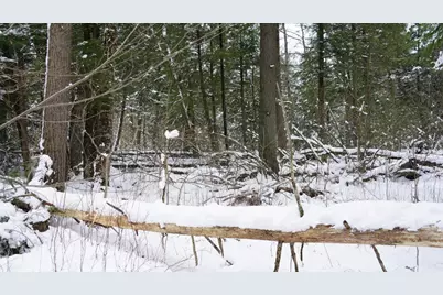 43+/- Ac County Rd Ff Acres, Merrill, WI 54452 - Photo 10