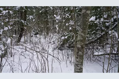 43+/- Ac County Rd Ff Acres, Merrill, WI 54452 - Photo 16