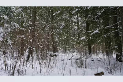 43+/- Ac County Rd Ff Acres, Merrill, WI 54452 - Photo 14