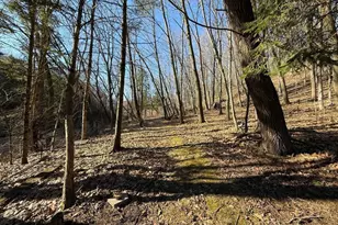 E3497 Croal Hollow Rd, Hillpoint, WI 53937 - Photo 38