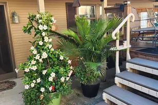 N593 Blackhawk Bluff Dr, Koshkonong, WI 53563 - Photo 44