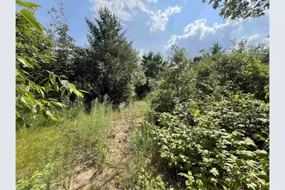 0000 State Hwy 21, Friendship, WI 53934 - Photo 38