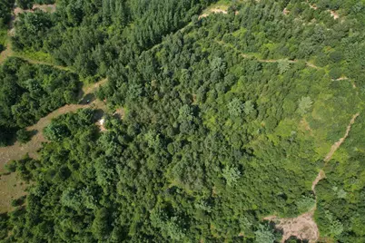 0000 State Hwy 21, Friendship, WI 53934 - Photo 20