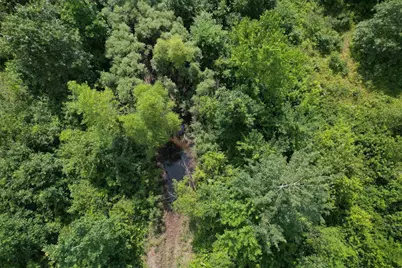 0000 State Hwy 21, Friendship, WI 53934 - Photo 8