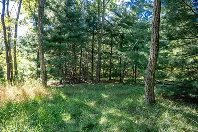 Lot 6 Cherokee Lane, New Lisbon, WI 53950 - Photo 16