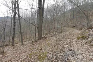 24503 Livingston Rd, Wilton, WI 54670 - Photo 1