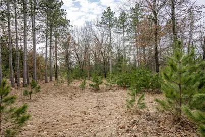 W5236 23rd Street, Necedah, WI 54646 - Photo 28