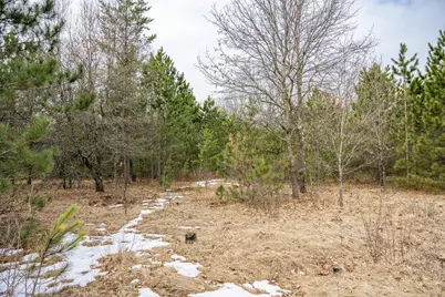 W5236 23rd Street, Necedah, WI 54646 - Photo 38