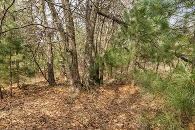 W5236 23rd Street, Necedah, WI 54646 - Photo 50